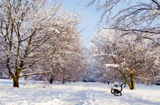 Nice hiver